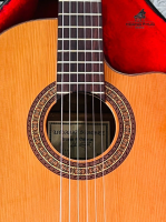 Đàn guitar Antonio Sanchez 3350 nhập khẩu chính hãng từ Nhật| Piano Hoàng Phúc