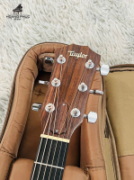 Đàn Guitar Acoustic Taylor 214CE nhập khẩu chính hãng từ Nhật| Piano Hoàng Phúc