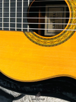 Đàn Masaki Sakurai No20 Brazil Jacaranda | Nhập khẩu trực tiếp tại Nhật Bản