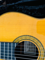 Đàn Masaki Sakurai No20 Brazil Jacaranda | Nhập khẩu trực tiếp tại Nhật Bản