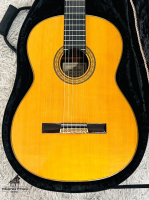 Đàn Masaki Sakurai No20 Brazil Jacaranda | Nhập khẩu trực tiếp tại Nhật Bản