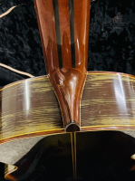 Đàn Masaki Sakurai No20 Brazil Jacaranda | Nhập khẩu trực tiếp tại Nhật Bản