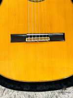 Đàn Masaki Sakurai No20 Brazil Jacaranda | Nhập khẩu trực tiếp tại Nhật Bản