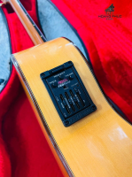 Antonio Sanchez 3028 All Solid