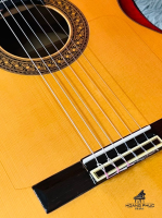 Antonio Sanchez 3028 All Solid