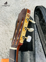 Đàn Takamine No 10 nhập khẩu chính hãng từ Nhật| Piano Hoàng Phúc