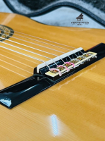 Đàn Takamine No 10 nhập khẩu chính hãng từ Nhật| Piano Hoàng Phúc