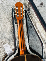 Đàn Masaru Kohno No50 | Nhập khẩu trực tiếp tại Nhật Bản