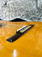 Đàn Masaru Kohno No50 | Nhập khẩu trực tiếp tại Nhật Bản