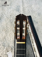 Đàn Masaru Kohno No50 | Nhập khẩu trực tiếp tại Nhật Bản