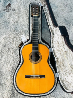 Đàn Masaru Kohno No50 | Nhập khẩu trực tiếp tại Nhật Bản