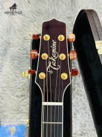 Đàn guitar Takamine DMP-50S RW nhập khẩu chính hãng từ Nhật| Piano Hoàng Phúc