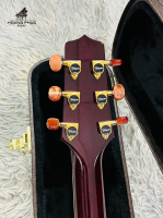 Đàn guitar Takamine DMP-50S RW nhập khẩu chính hãng từ Nhật| Piano Hoàng Phúc