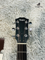 Đàn guitar Taylor 214CE Koa | nhập khẩu chính hãng từ Nhật| Piano Hoàng Phúc