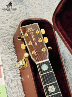 Đàn Morris W200 | Nhập khẩu trực tiếp tại Nhật Bản