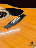 Đàn Morris W200 | Nhập khẩu trực tiếp tại Nhật Bản