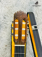 Đàn guitar Matsuoka No. Special 80 | nhập khẩu chính hãng từ Nhật| Piano Hoàng Phúc