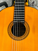 Đàn guitar Matsuoka No. Special 80 | nhập khẩu chính hãng từ Nhật| Piano Hoàng Phúc