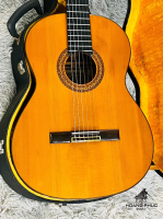 Đàn guitar Matsuoka No. Special 80 | nhập khẩu chính hãng từ Nhật| Piano Hoàng Phúc