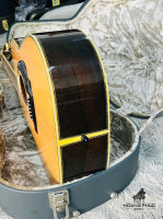 Đàn guitar Morris TF-820 | nhập khẩu chính hãng từ Nhật| Piano Hoàng Phúc