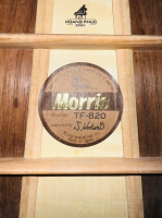 Đàn guitar Morris TF-820 | nhập khẩu chính hãng từ Nhật| Piano Hoàng Phúc