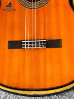 Đàn guitar Yamaha G250 nhập khẩu chính hãng từ Nhật| Piano Hoàng Phúc