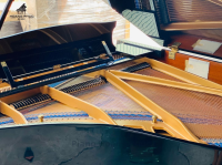 Đàn piano GRAND KAWAI KG-2C nhập khẩu chính hãng từ Nhật| Piano Hoàng Phúc