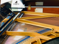 Đàn piano GRAND KAWAI KG-2C nhập khẩu chính hãng từ Nhật| Piano Hoàng Phúc