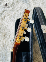 Đàn guitarTakamine No 15 nhập khẩu chính hãng từ Nhật| Piano Hoàng Phúc