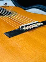 Đàn guitarTakamine No 15 nhập khẩu chính hãng từ Nhật| Piano Hoàng Phúc