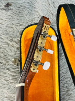 Đàn guitar Aria 6C-CE Made in Spain nhập khẩu chính hãng từ Nhật| Piano Hoàng Phúc