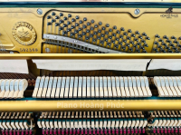 Chuyên Cung Cấp Sỉ Và Lẻ Piano & Guitar Secondhand Nhập Khẩu 100% Từ Nhật - Với Chất Lượng Và Chế Độ Bảo Hành Uy Tín, Nhanh Chóng. Hỗ trợ trả góp từ 0% bằng thẻ tín dụng cho khách hàng.