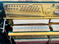 Chuyên Cung Cấp Sỉ Và Lẻ Piano & Guitar Secondhand Nhập Khẩu 100% Từ Nhật - Với Chất Lượng Và Chế Độ Bảo Hành Uy Tín, Nhanh Chóng. Hỗ trợ trả góp từ 0% bằng thẻ tín dụng cho khách hàng.