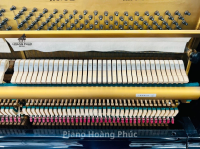 Chuyên Cung Cấp Sỉ Và Lẻ Piano & Guitar Secondhand Nhập Khẩu 100% Từ Nhật - Với Chất Lượng Và Chế Độ Bảo Hành Uy Tín, Nhanh Chóng. Hỗ trợ trả góp từ 0% bằng thẻ tín dụng cho khách hàng.