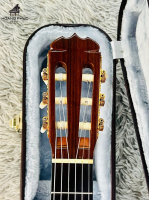 Đàn guitar Kazuo Yairi CY-200SX nhập khẩu chính hãng từ Nhật| Piano Hoàng Phúc