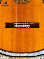 Đàn guitar Kazuo Yairi CY-200SX nhập khẩu chính hãng từ Nhật| Piano Hoàng Phúc