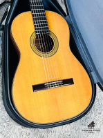 Đàn guitar Kazuo Yairi YC-505 Anõ.1984 | nhập khẩu chính hãng từ Nhật| Piano Hoàng Phúc