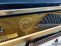 Đàn Eterna 10 Nhật Bản | Hàng có sẵn