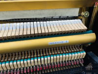 Đàn Eterna 10 Nhật Bản | Hàng có sẵn