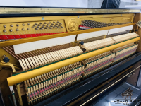 Đàn Piano Cơ Apollo Stattlich A5