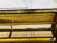 Đàn Piano Cơ Apollo Stattlich A5