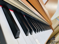 Đàn Piano Điện Kawai CN 22C NEW 98% | Piano Hoàng Phúc