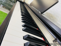 Mua đàn SCLP-320 giá hấp dẫn