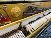 Đàn Piano Cơ MANSARD D3 Mới 98% | Piano Hoàng Phúc