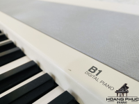 Đàn Piano Điện KORG B1 Mới 98% | Piano Hoàng Phúc