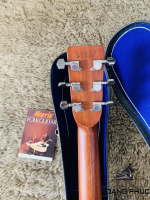 Đàn Guitar Morris W30 | Piano Hoàng Phúc