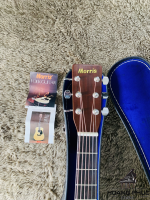 Đàn Guitar Morris W18 | Piano Hoàng Phúc