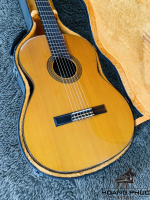 Đàn Guitar Matsuoka No.20 | Piano Hoàng Phúc