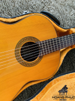 Đàn Guitar Matsuoka No.20 | Piano Hoàng Phúc