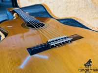 Đàn Guitar Matsuoka No.20 | Piano Hoàng Phúc